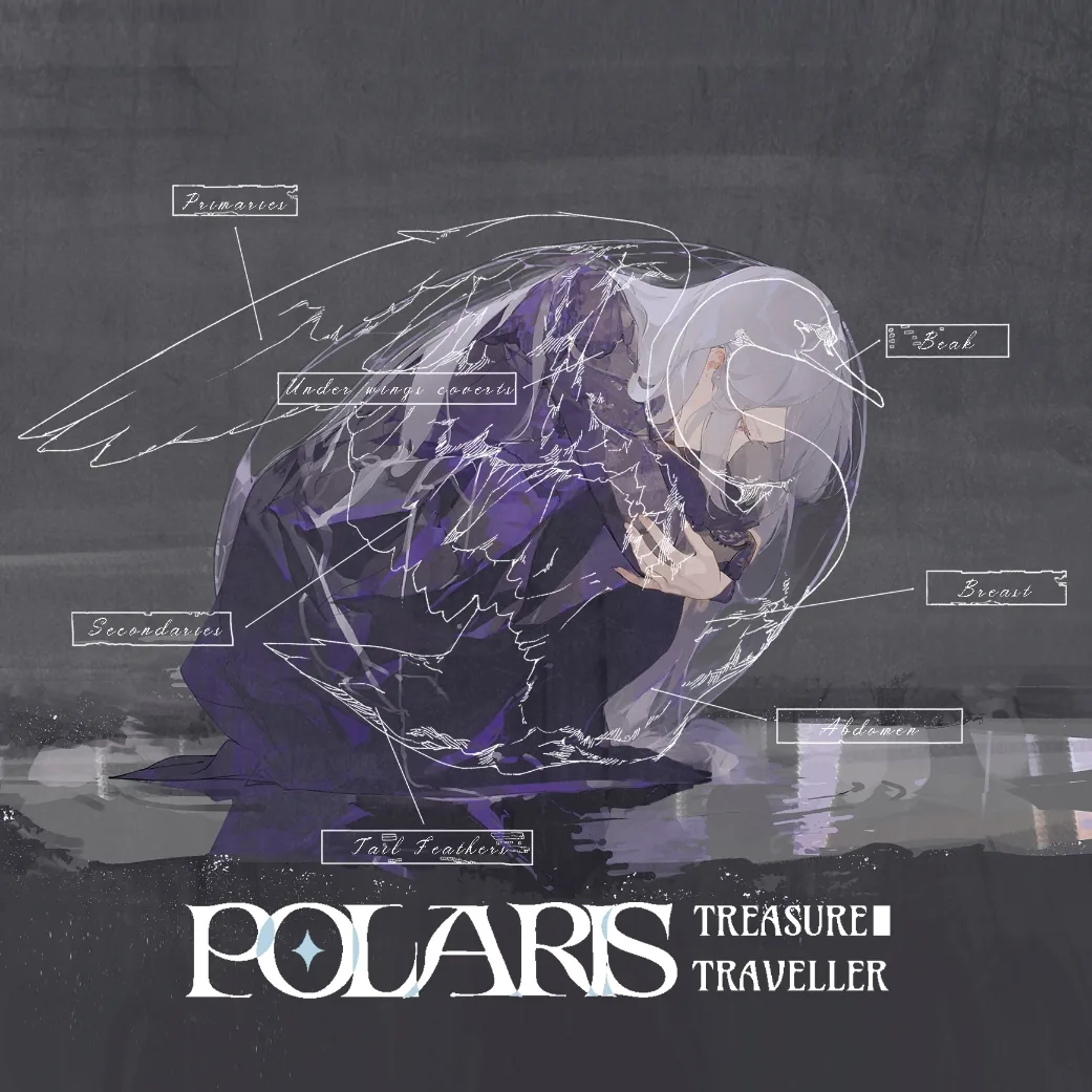 秘宝旅人 Polaris II 封面